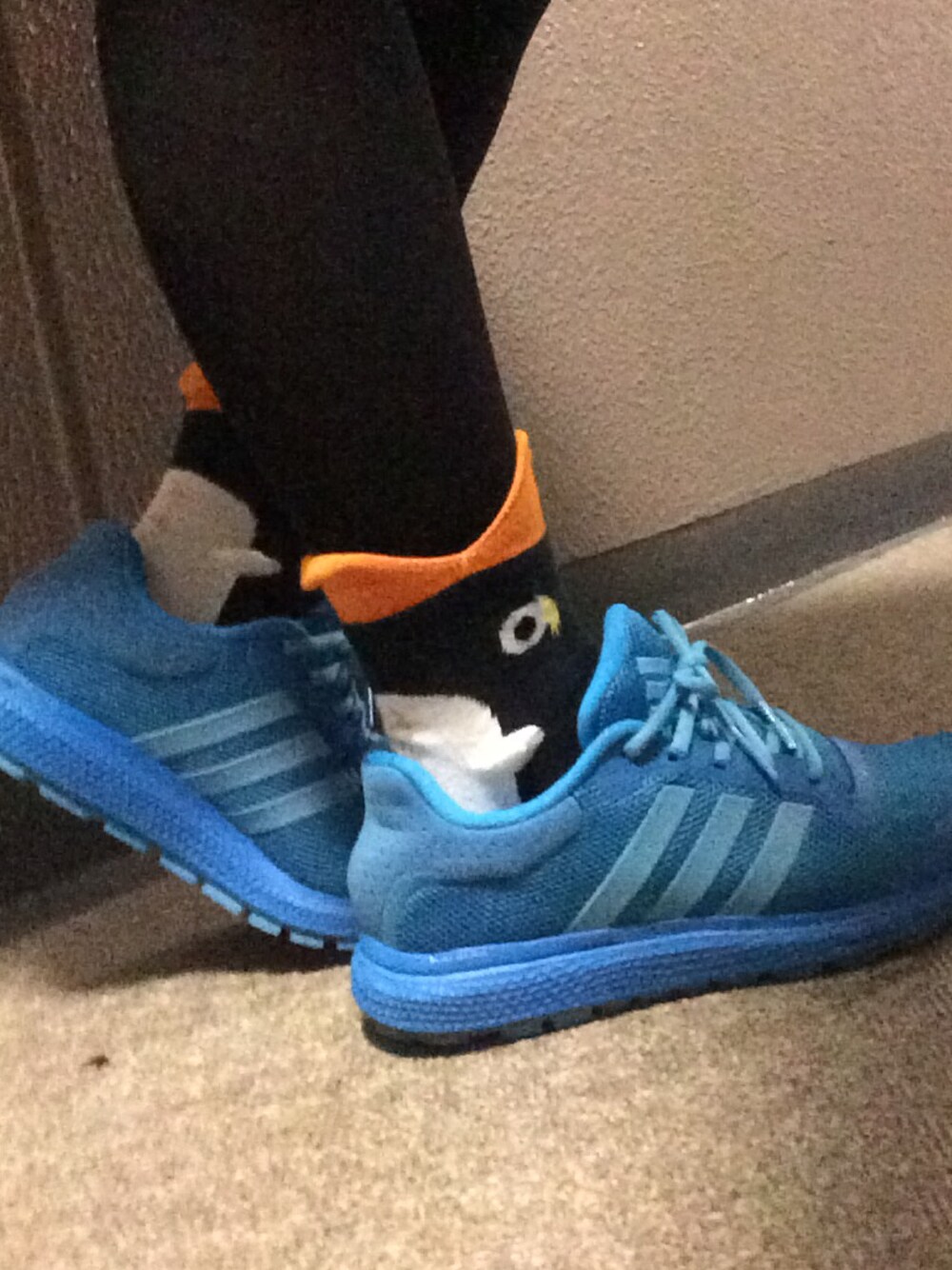 「ぺんぎん、アニマル靴下」｜「adidasのアイテム（スニーカー、ブルー系）」を使った、みぃさん（レディース・157cm）の秋コーディネートの1枚目の写真