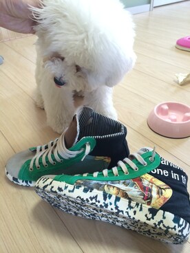 Shin Yoshidaさんのコーディネート