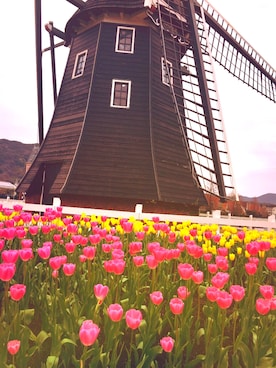 kazumiさんのコーディネート