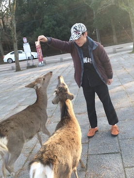 サクさんのコーディネート