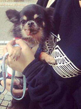 cccfallさんのコーディネート