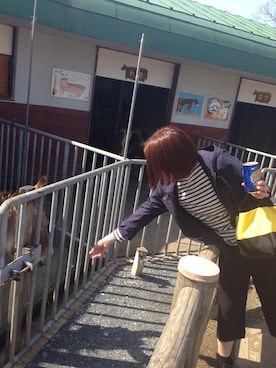 ticaさんのコーディネート