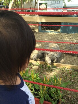 clleeさんのコーディネート