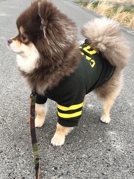 chiiikoさんのコーディネート