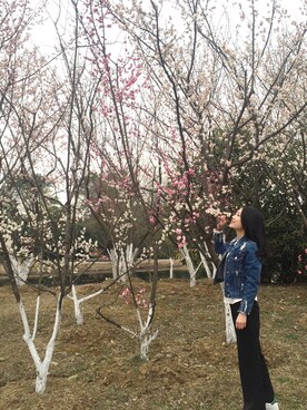 155さんのコーディネート