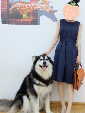 155さんのコーディネート