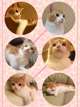 Kyanaeeeさんのコーディネート