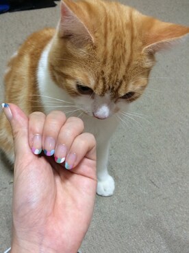 Kyanaeeeさんのコーディネート