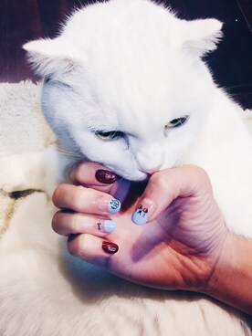 Moon haloさんのコーディネート