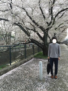 なんばーさんのコーディネート