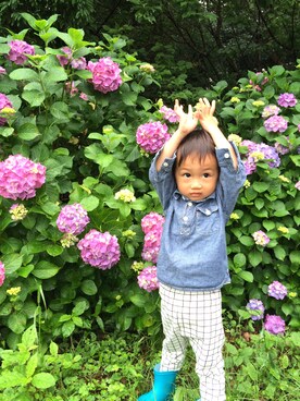 ayumiさんのコーディネート