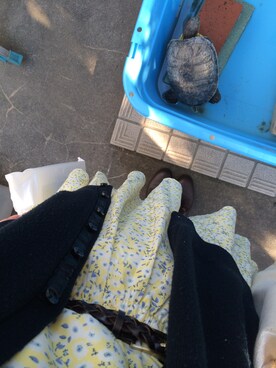 ふさん（レディース・154cm）の春コーディネート