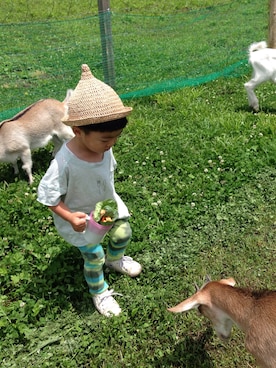 いと。さんのコーディネート