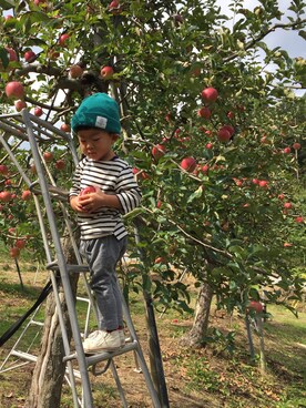 いと。さんのコーディネート