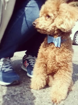 popoさんのコーディネート