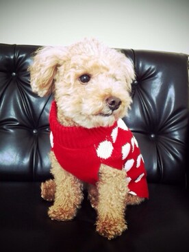 Kenさんのコーディネート