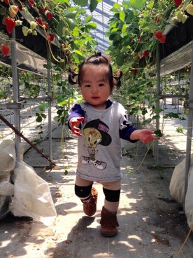 「AHCAHCUM.muchacha（アチャチュムムチャチャ）のアイテム（パンツ）」を使った、lillilさん（レディース・80cm）の春コーディネート