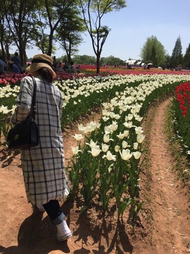 ふぅさんのコーディネート