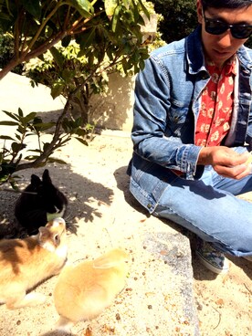 げしさんのコーディネート