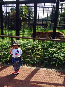 Meimamaさんのコーディネート