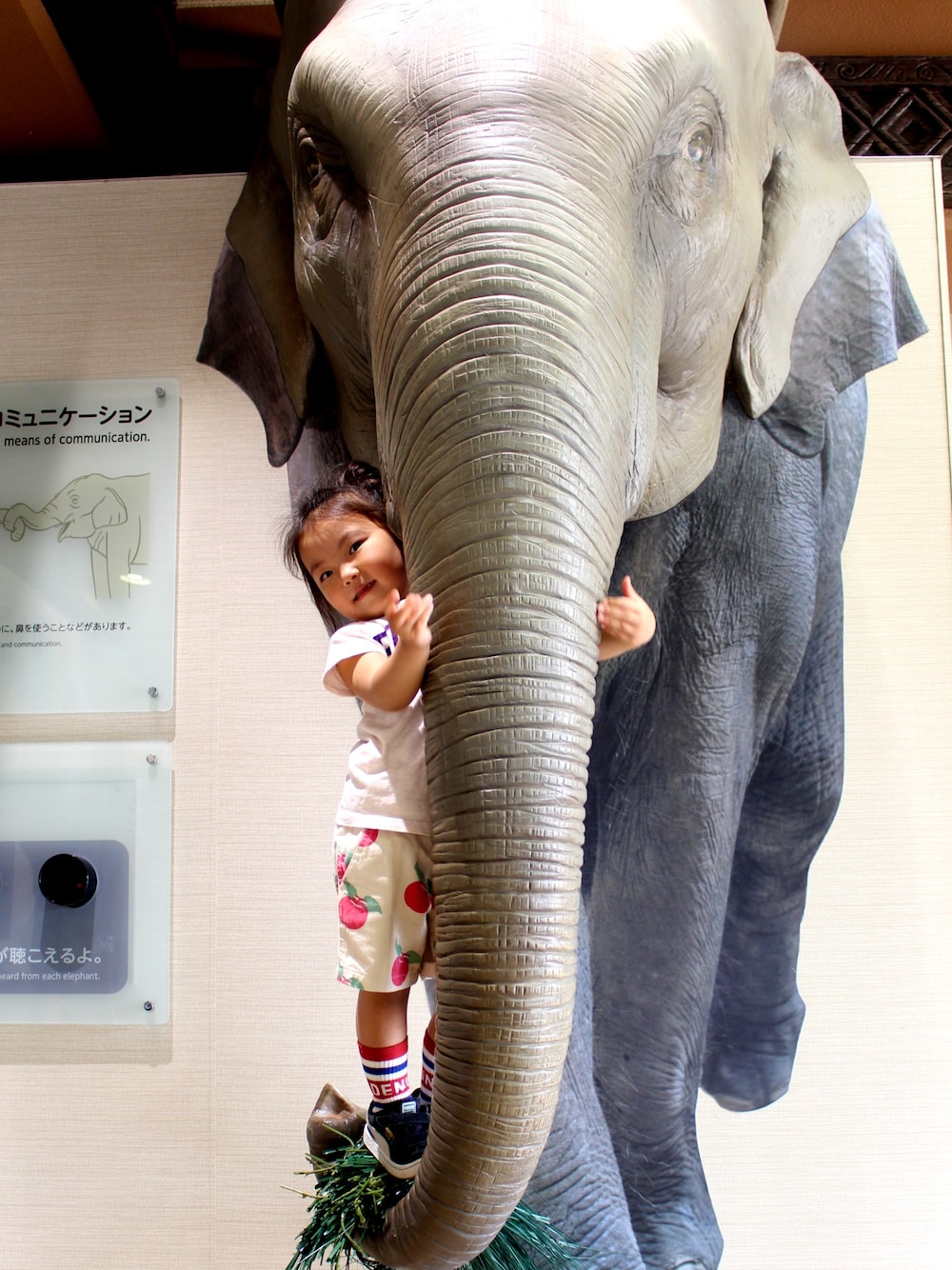 「kids、キッズファッション、DENIM DUNGAREE、gotoHollywood、4歳、東山動物園、16ss、リンゴ柄」｜「DENIM DUNGAREEのアイテム（Tシャツ/カットソー、ホワイト系）」を使った、＊M&M＊さん（キッズ・90cm）の春コーディネートの1枚目の写真
