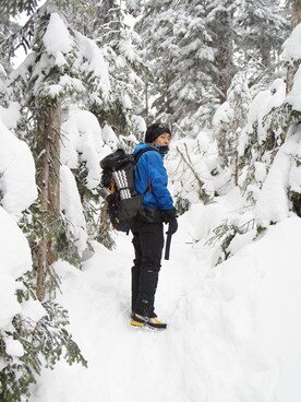 いんにんじちょうさんのコーディネート