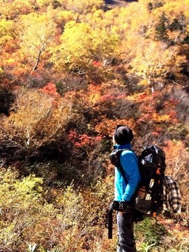 いんにんじちょうさんのコーディネート