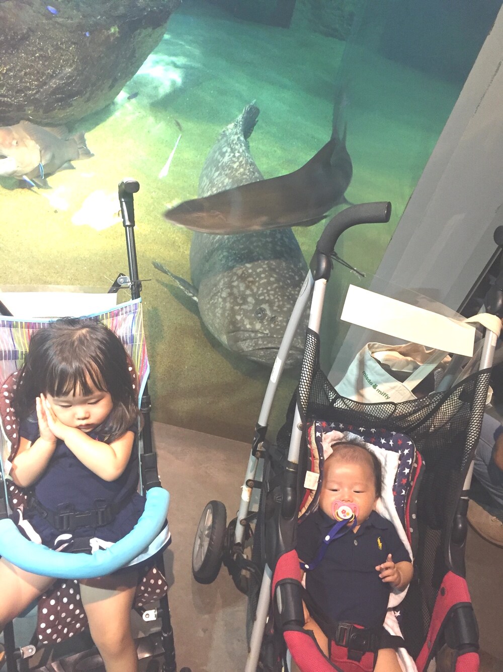 「娘コーデ、2歳3ヶ月、息子、2ヵ月、お誕生日おめでとう！、あたし！、Ralph Lauren、Ralph Lauren baby、海きらら、水族館」｜「海きららのアイテム（その他、ブルー系）」を使った、あやちゃんさん（レディース・165cm）の秋コーディネートの1枚目の写真