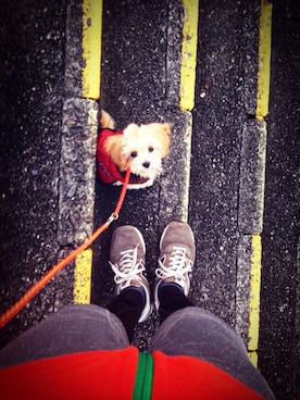 MOCOさんのコーディネート