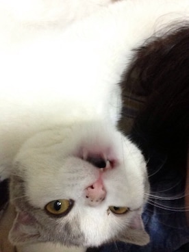 MeCwenさんのコーディネート