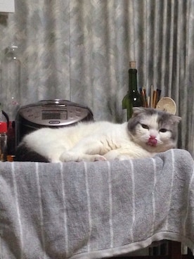 MeCwenさんのコーディネート