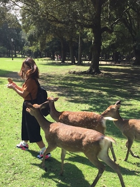 やまみ〜さんのコーディネート