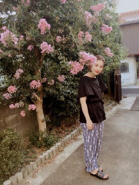 ミサキ  さんのコーディネート