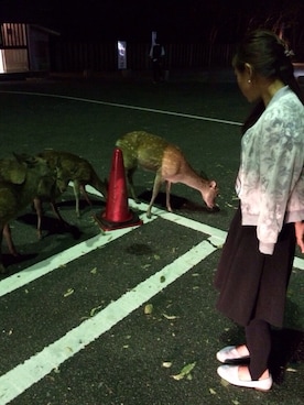 えりつーん( ･･)σさんのコーディネート