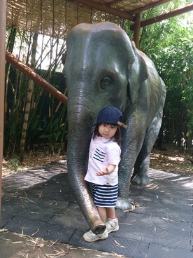 みっちーさんのコーディネート