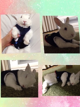 akkkkinさんのコーディネート