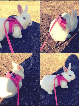 akkkkinさんのコーディネート