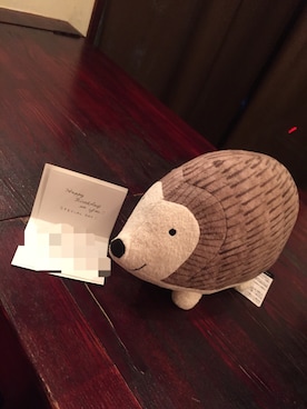 「Lisa Larson（リサラーソン）のアイテム」を使った、You officialさん（メンズ・170cm）の春コーディネート