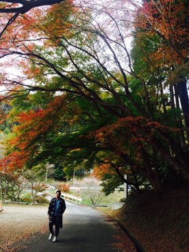 fujimura  ニコさんのコーディネート