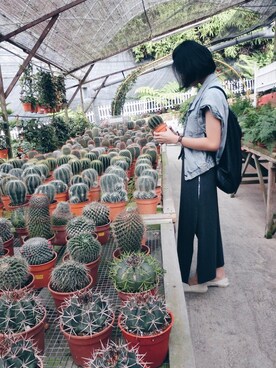 「アイテム（ドレス、グレー系）」を使った、ty-gkt-abさん（レディース・163cm）の夏コーディネート