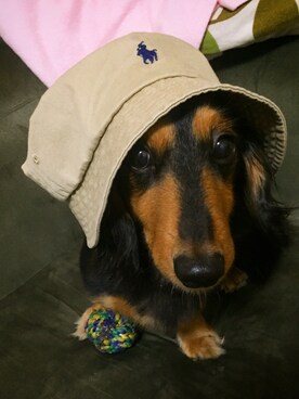 大和さんのコーディネート