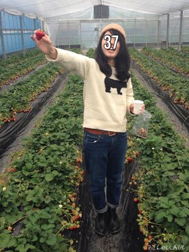 「ROPE' PICNIC（ロペピクニック）のアイテム（デニムパンツ、ブルー系）」を使った、SanaSanaさん（レディース・152cm）の春コーディネート