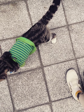 y23kokinawanohsakaさんのコーディネート