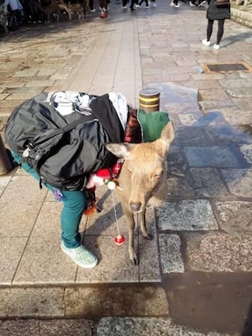 y23kokinawanohsakaさんのコーディネート