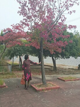 なおさんのコーディネート