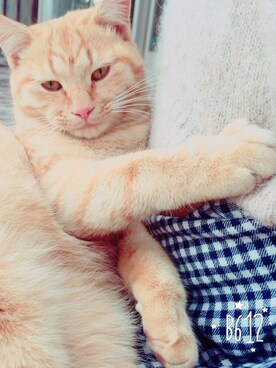 シュクル@148.ne.jpさんのコーディネート