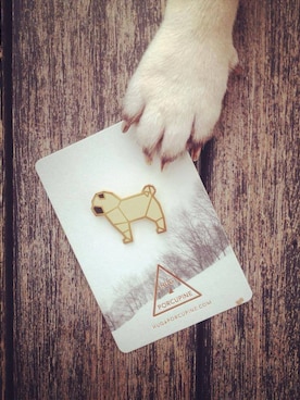 threadbare&squirrelさんのコーディネート