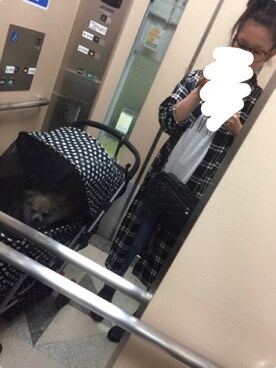 chalaneさんのコーディネート