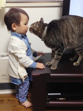 波瑠さんのコーディネート