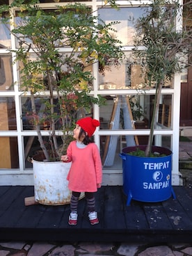 たぬきさんのコーディネート